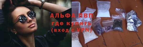 стаф Вяземский