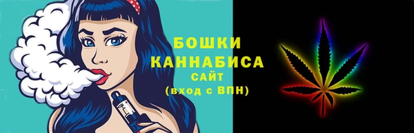 стаф Вяземский