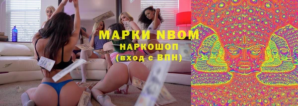 стаф Вяземский