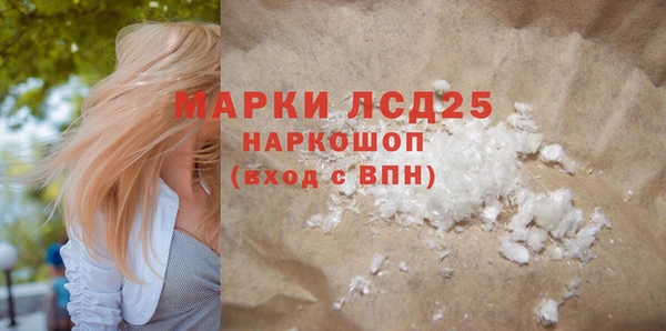 стаф Вяземский