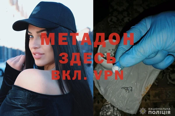 стаф Вяземский