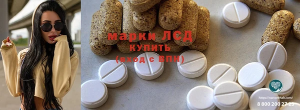 стаф Вяземский